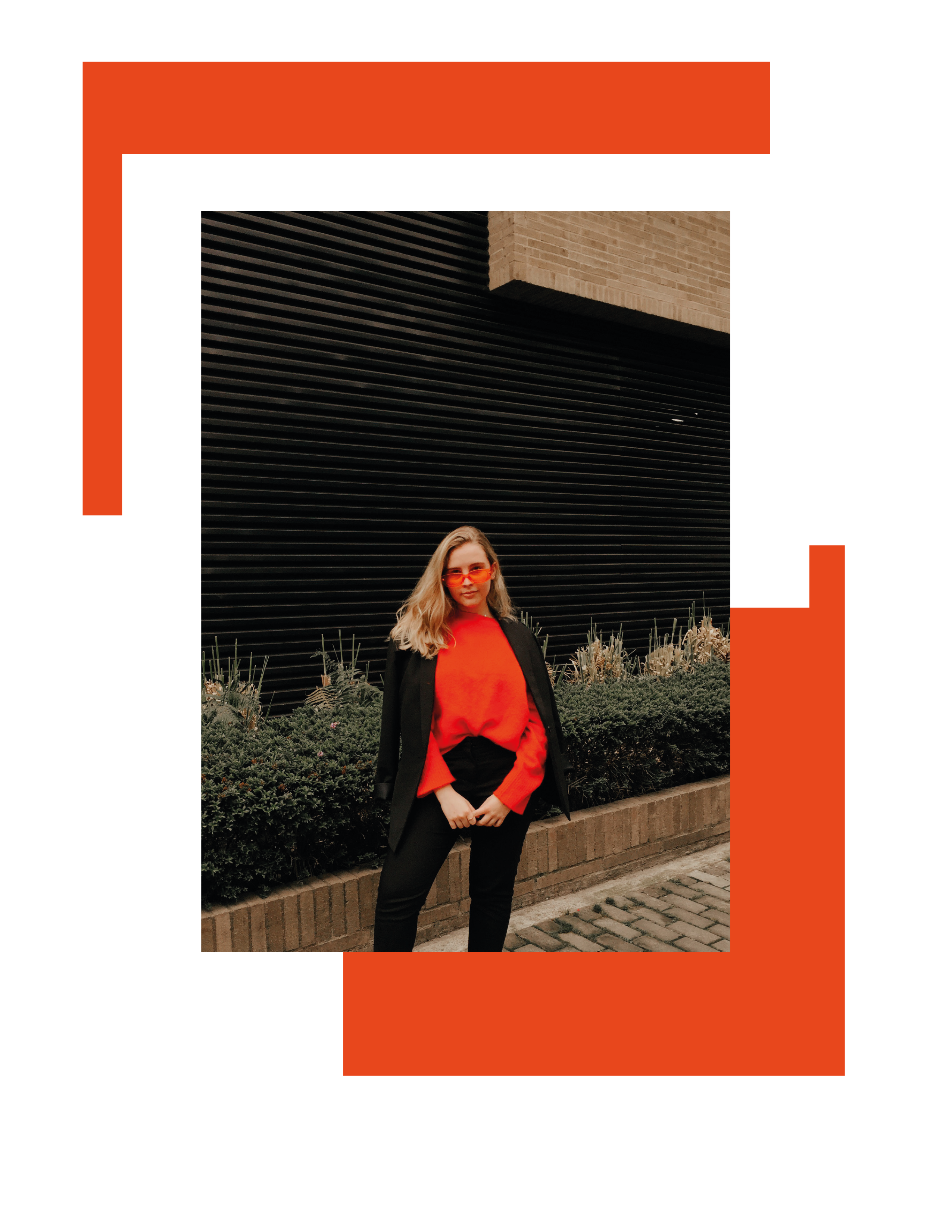 transparency and neon4-04